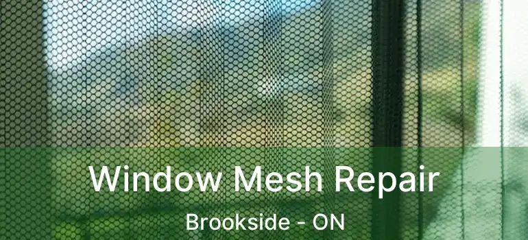Window Mesh Repair Brookside - ON