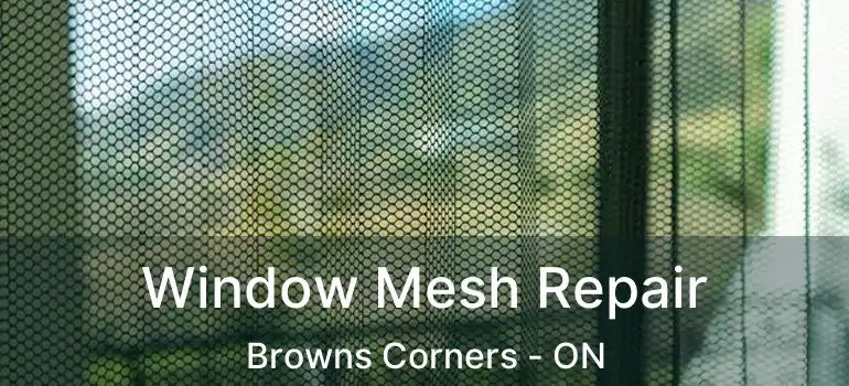  Window Mesh Repair Browns Corners - ON