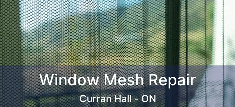Window Mesh Repair Curran Hall - ON