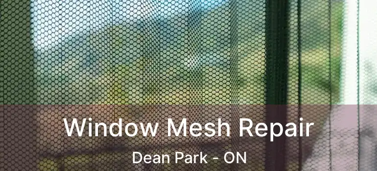  Window Mesh Repair Dean Park - ON