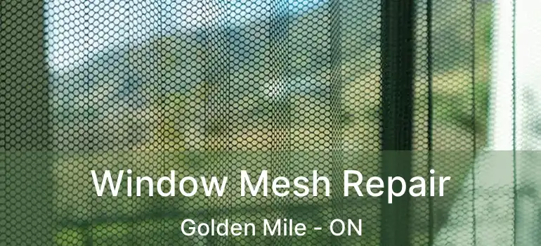  Window Mesh Repair Golden Mile - ON