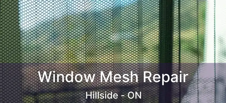  Window Mesh Repair Hillside - ON