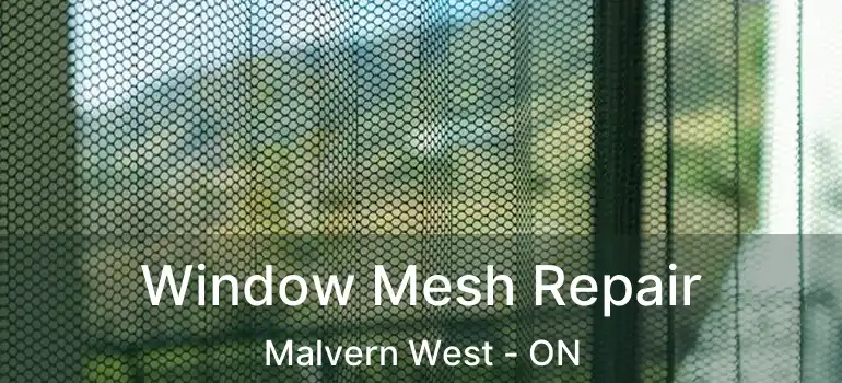 Window Mesh Repair Malvern West - ON