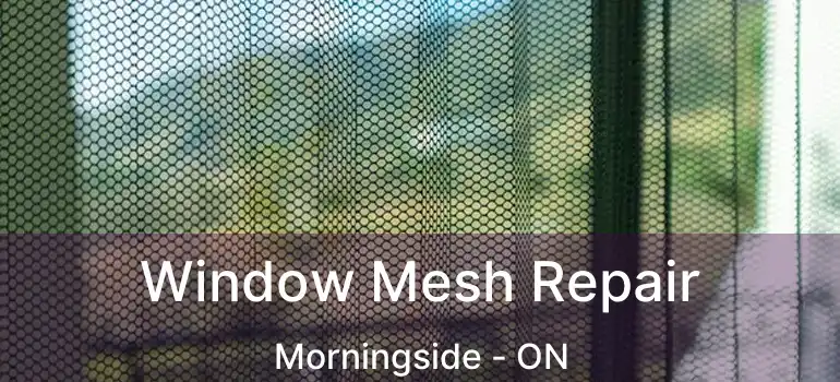  Window Mesh Repair Morningside - ON