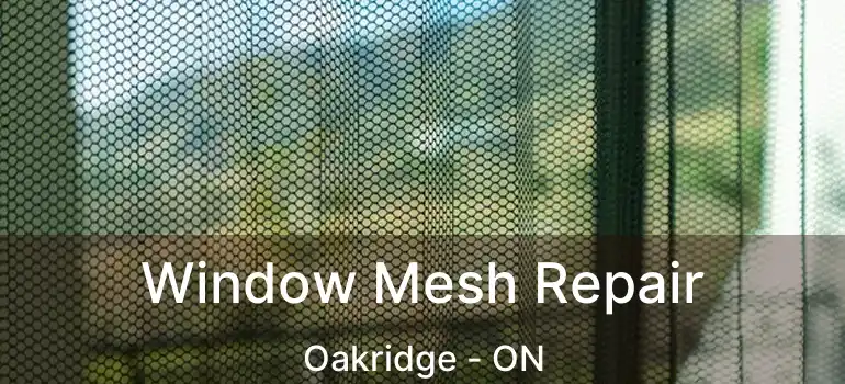  Window Mesh Repair Oakridge - ON