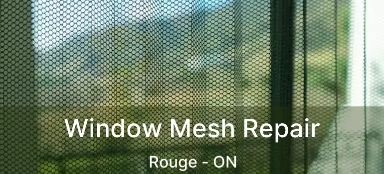  Window Mesh Repair Rouge - ON