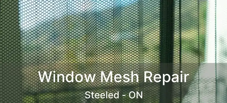  Window Mesh Repair Steeled - ON