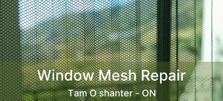  Window Mesh Repair Tam O shanter - ON
