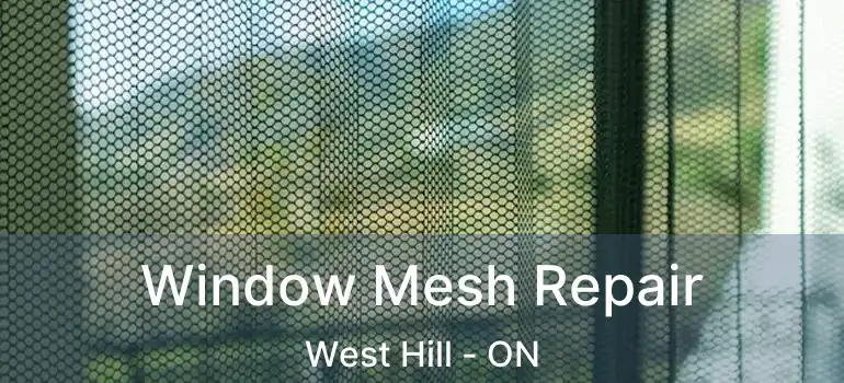  Window Mesh Repair West Hill - ON