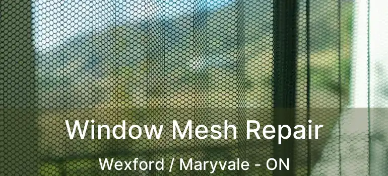 Window Mesh Repair Wexford / Maryvale - ON
