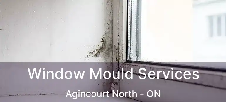  Window Mould Services Agincourt North - ON
