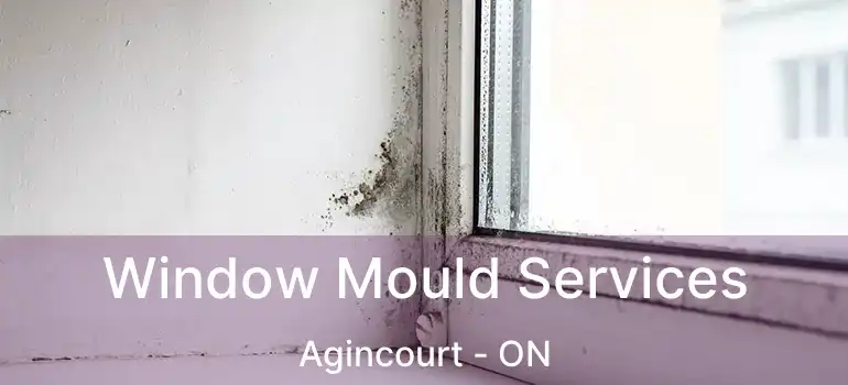 Window Mould Services Agincourt - ON