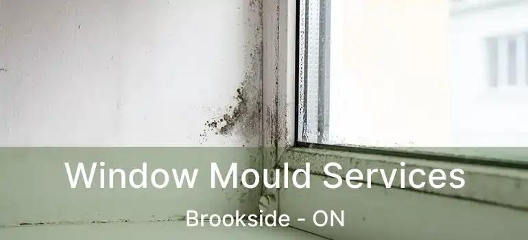  Window Mould Services Brookside - ON