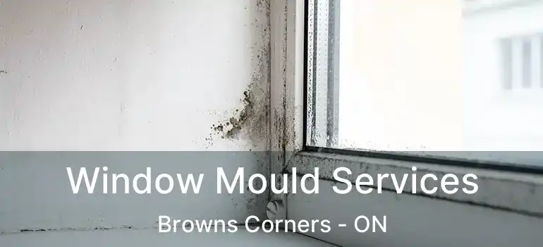  Window Mould Services Browns Corners - ON