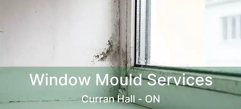 Window Mould Services Curran Hall - ON