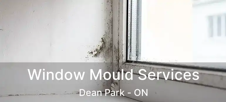  Window Mould Services Dean Park - ON