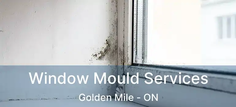  Window Mould Services Golden Mile - ON