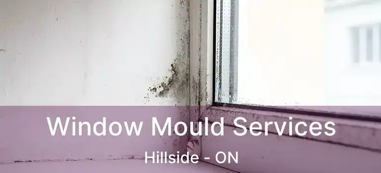  Window Mould Services Hillside - ON