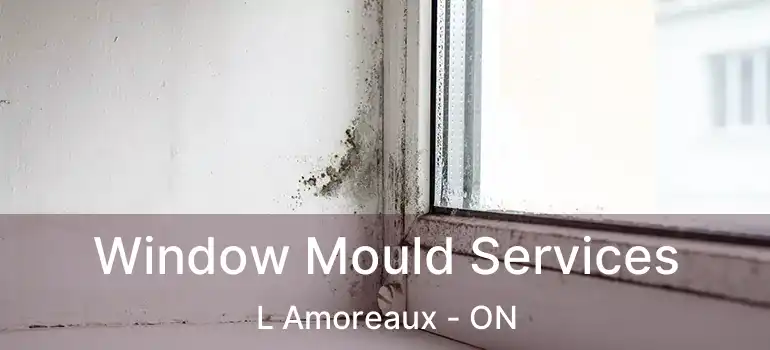  Window Mould Services L Amoreaux - ON