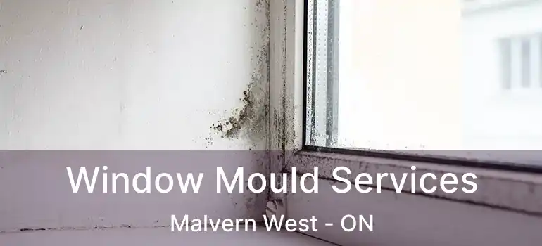  Window Mould Services Malvern West - ON