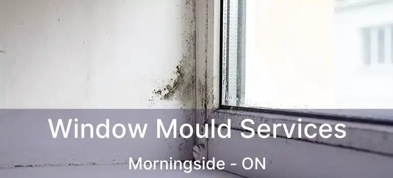 Window Mould Services Morningside - ON