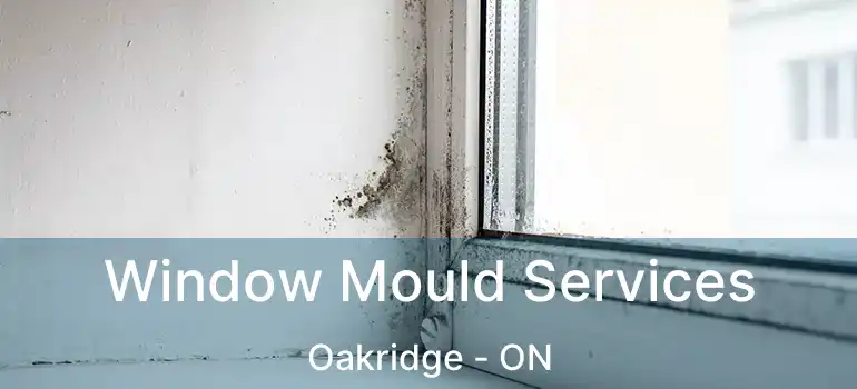  Window Mould Services Oakridge - ON