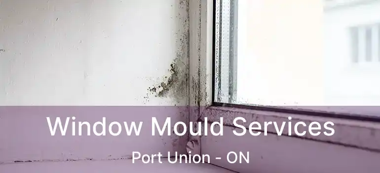  Window Mould Services Port Union - ON