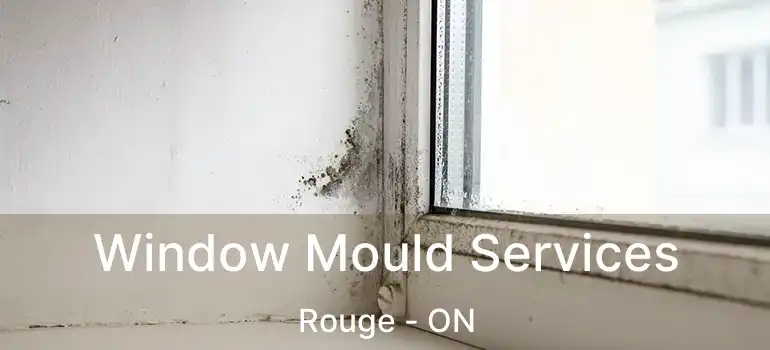  Window Mould Services Rouge - ON