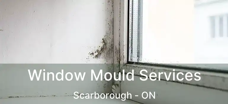  Window Mould Services Scarborough - ON