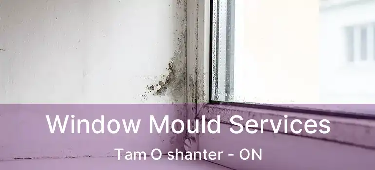  Window Mould Services Tam O shanter - ON