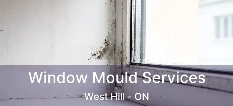  Window Mould Services West Hill - ON