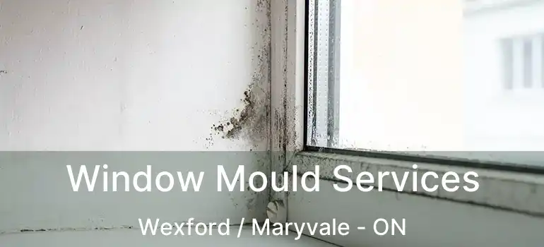 Window Mould Services Wexford / Maryvale - ON