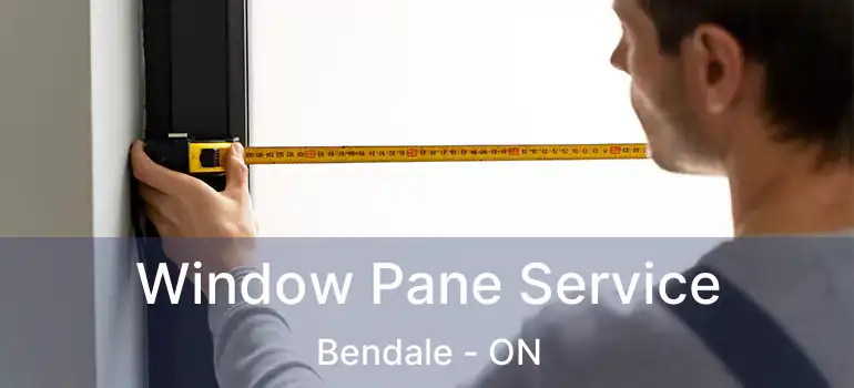  Window Pane Service Bendale - ON