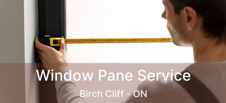  Window Pane Service Birch Cliff - ON
