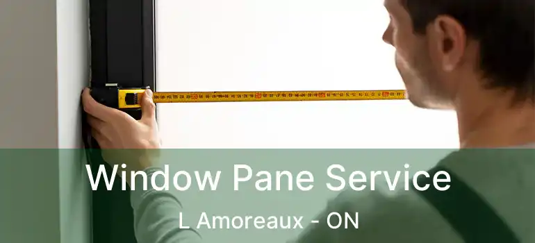  Window Pane Service L Amoreaux - ON