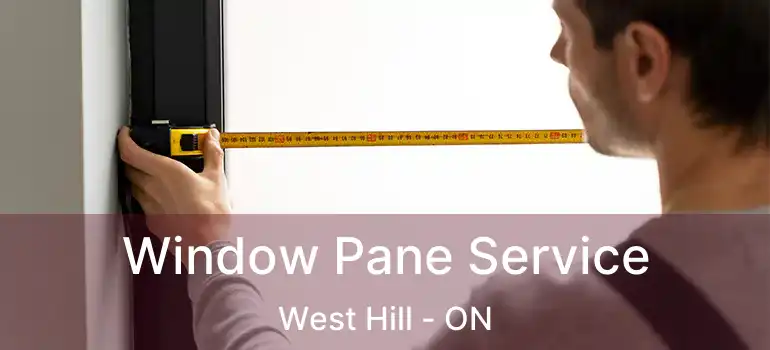  Window Pane Service West Hill - ON