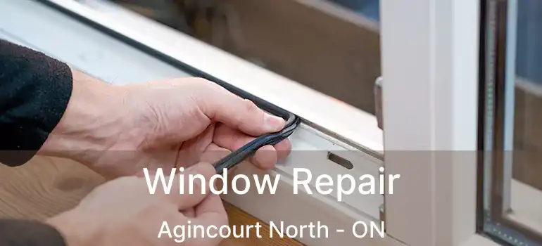  Window Repair Agincourt North - ON