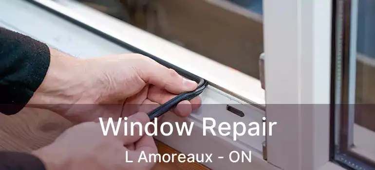  Window Repair L Amoreaux - ON