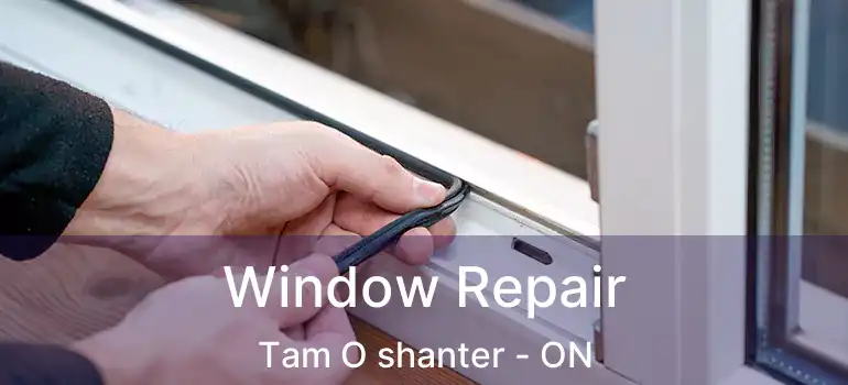  Window Repair Tam O shanter - ON