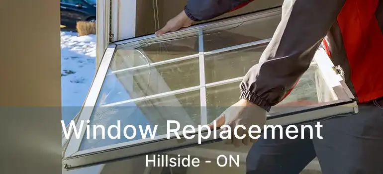  Window Replacement Hillside - ON