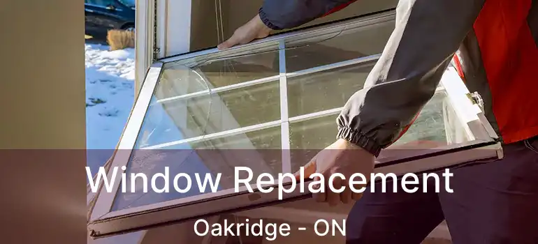  Window Replacement Oakridge - ON