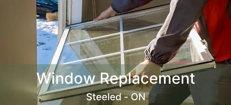  Window Replacement Steeled - ON