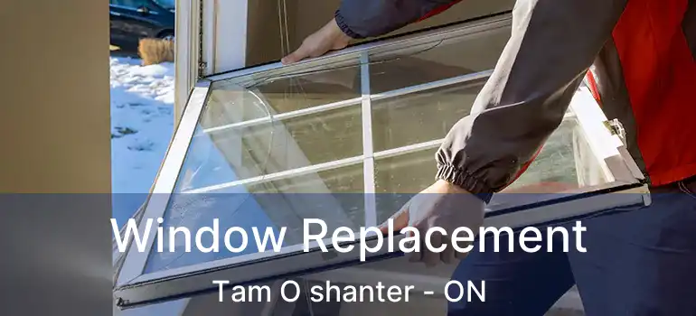 Window Replacement Tam O shanter - ON