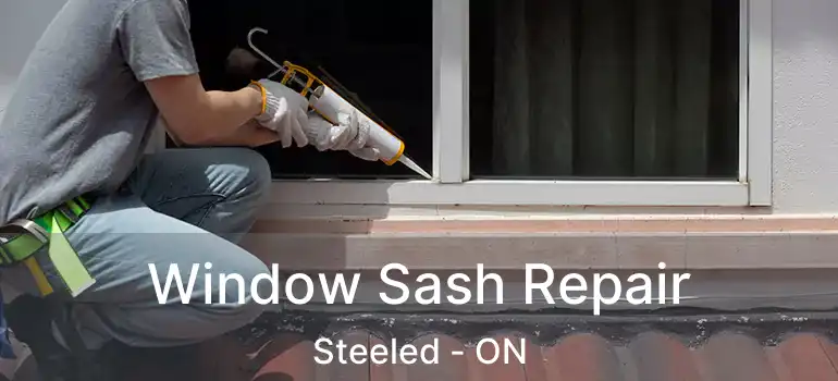  Window Sash Repair Steeled - ON