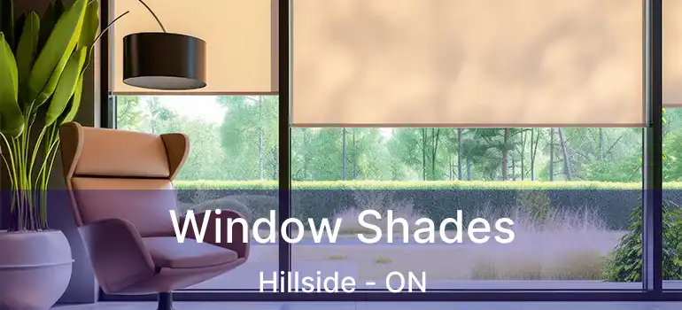 Window Shades Hillside - ON