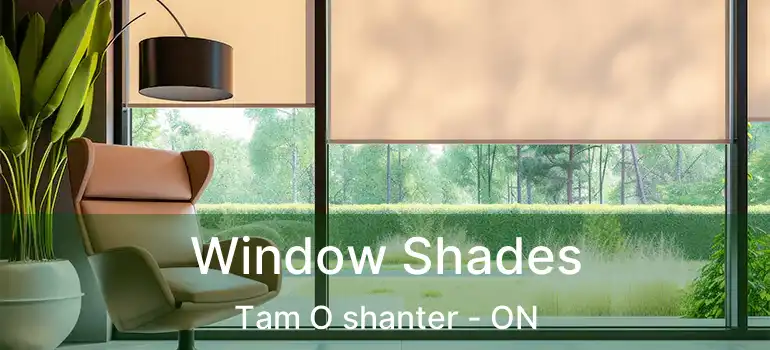  Window Shades Tam O shanter - ON