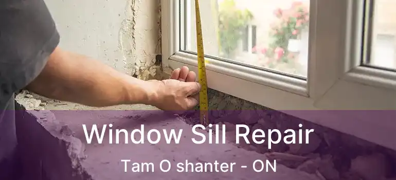Window Sill Repair Tam O shanter - ON
