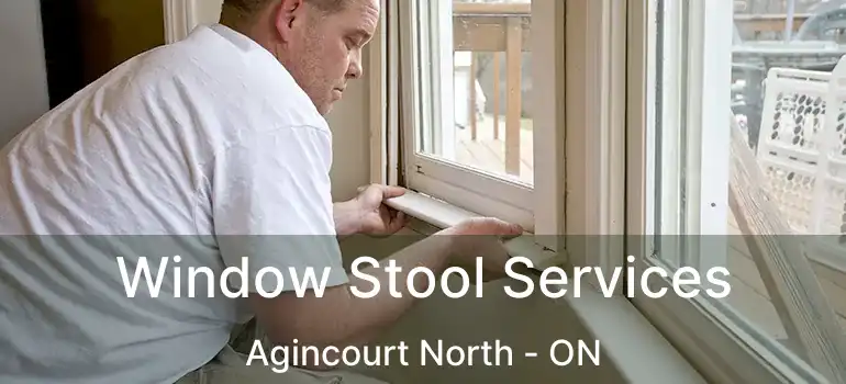 Window Stool Services Agincourt North - ON