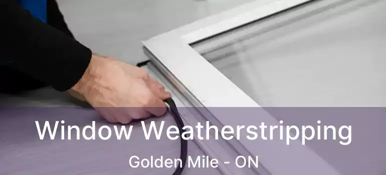  Window Weatherstripping Golden Mile - ON
