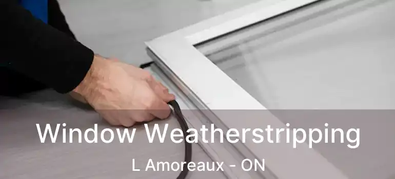 Window Weatherstripping L Amoreaux - ON
